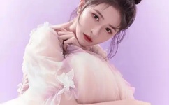 B站里看中日双字幕的